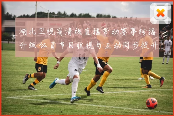 湖北卫视高清线直播带动赛事转播升级 体育节目收视与互动同步提升