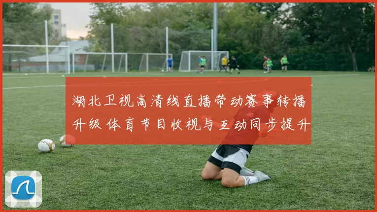 湖北卫视高清线直播带动赛事转播升级 体育节目收视与互动同步提升