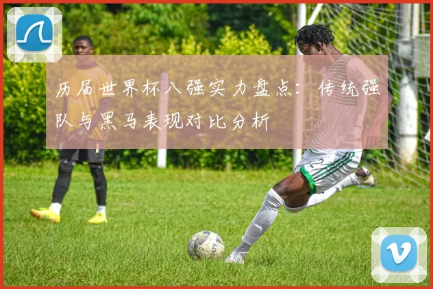 历届世界杯八强实力盘点:传统强队与黑马表现对比分析
